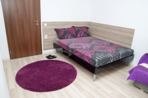 Отель Apartment Medical University  Плевна